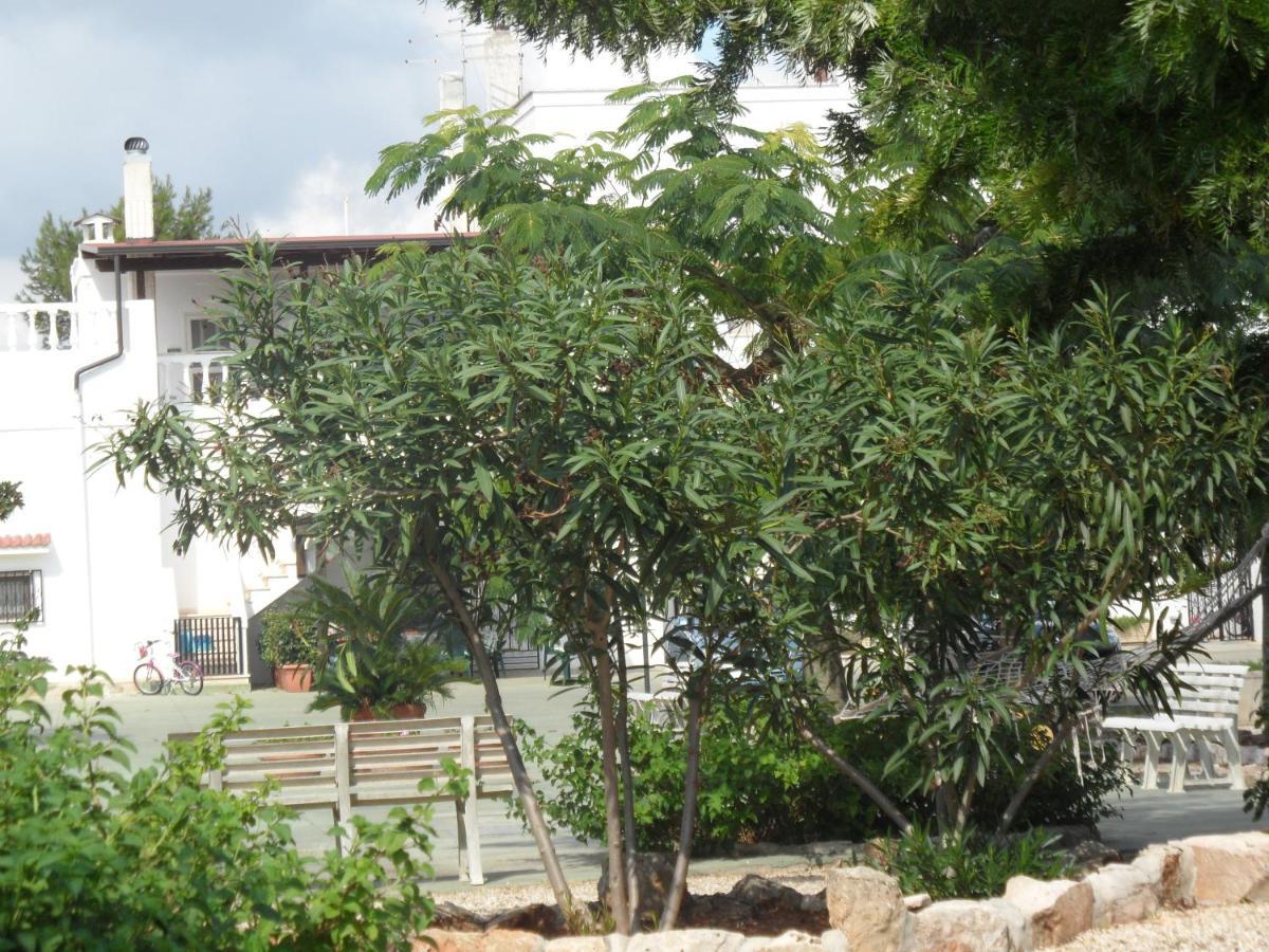 Azienda Agrituristica Masseria Campi San Vito dei Normanni Ngoại thất bức ảnh