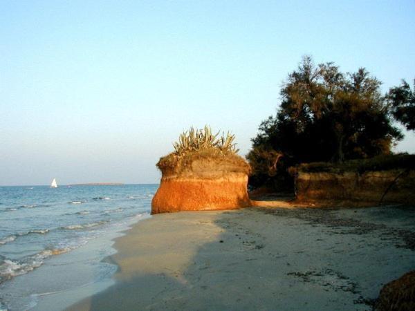 Azienda Agrituristica Masseria Campi San Vito dei Normanni Ngoại thất bức ảnh