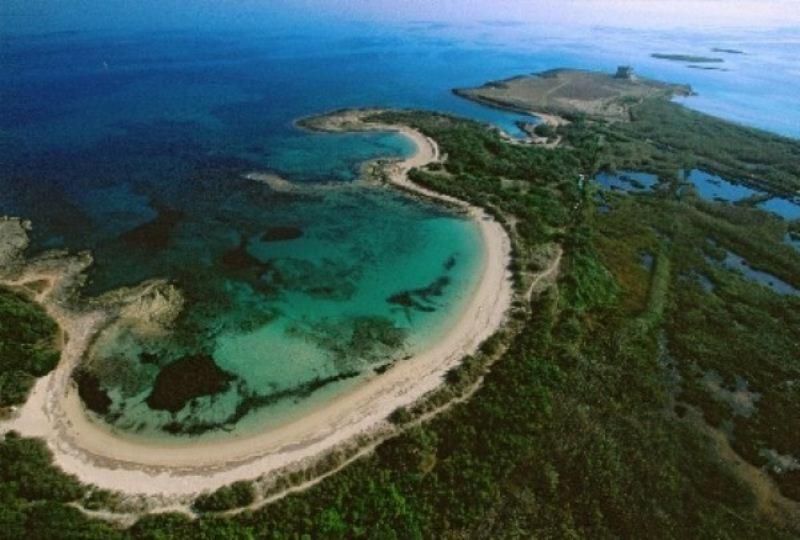 Azienda Agrituristica Masseria Campi San Vito dei Normanni Ngoại thất bức ảnh