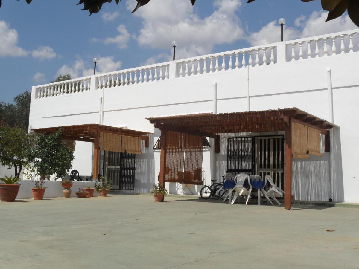 Azienda Agrituristica Masseria Campi San Vito dei Normanni Ngoại thất bức ảnh